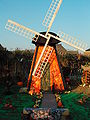 Oude Hollandse windmolen in pompoen (Over de baan)