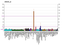 PBB GE SLC16A4 205234, fs.png'de