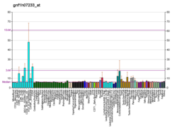 PBB GE SRPRB gnf1h07233, fs.png'de