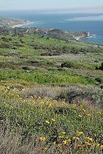 Thumbnail for Palos Verdes Peninsula Land Conservancy