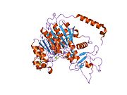 PDB 1ew2 EBI.jpg