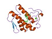 PDB 1kqu EBI.jpg