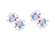 1nzk: Crystal Structure of a Multiple Mutant (L44F, L73V, V109L, L111I, C117V) of Human Acidic Fibroblast Growth Factor
