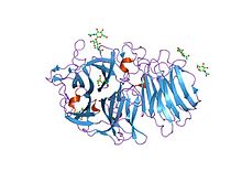 PDB 1y4w EBI.jpg