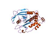 PDB 2hnp EBI.jpg