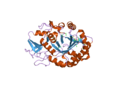 Thumbnail for File:PDB 2pi6 EBI.png