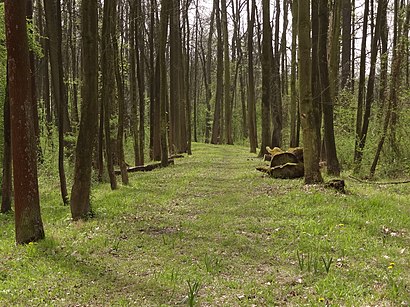 Jak do Zámecký park Liblice hromadnou dopravou - O místě