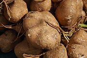 農貿市場銷售的豆薯塊根