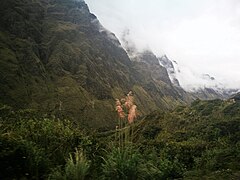 Paisatge baixant als Yungas.jpg