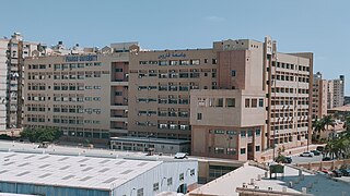 <span class="mw-page-title-main">Pharos University in Alexandria</span> Private university in Alexandria