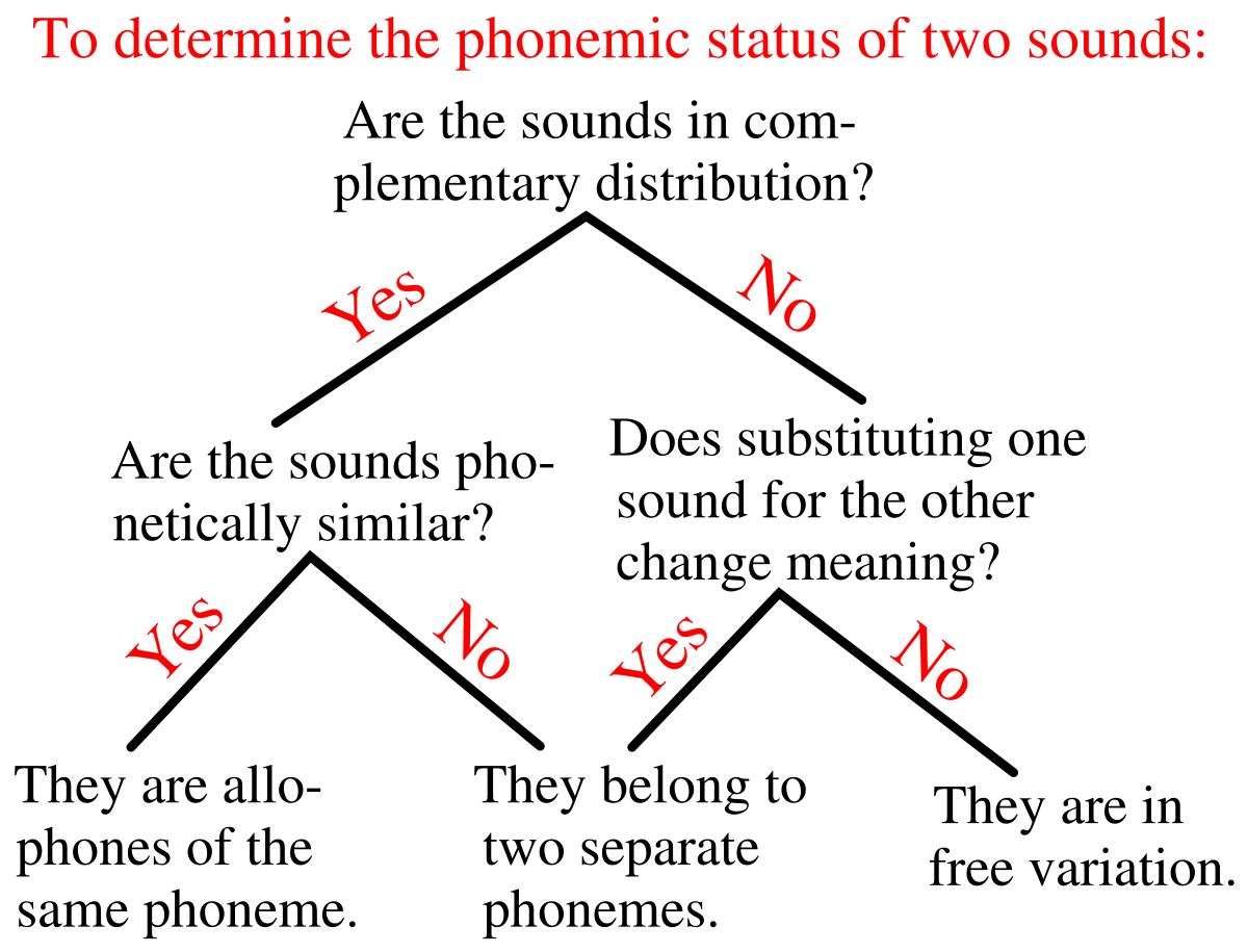 phonemic phonetic vs Wikipedia Allophone