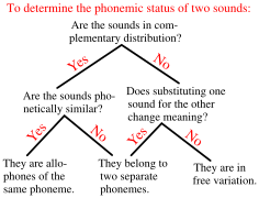 Phoneme-allophone-determination-chart.svg