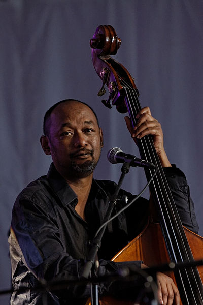 File:Photo - Festival de Cornouaille 2012 - Graeme Allwright en concert le 28 juillet - 010.jpg