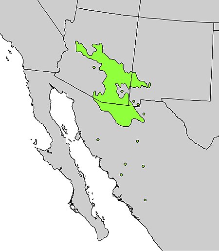 Platanus wrightii range map.jpg