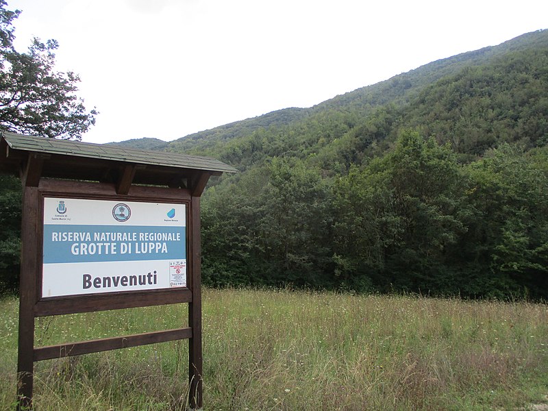 File:Portale riserva naturale regionale Grotte di Luppa.jpg