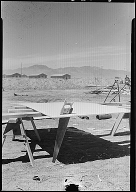 Poston, Arizona. Menggergaji celotex yang digunakan dalam pembangunan barak bagi pengungsi di kota ini . . . - NARA - 536138.jpg