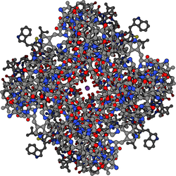 Top view of a potassium channel with potassium ions (purple) moving through the pore (in the center). (PDB: 1BL8 ) Potassium channel1.png