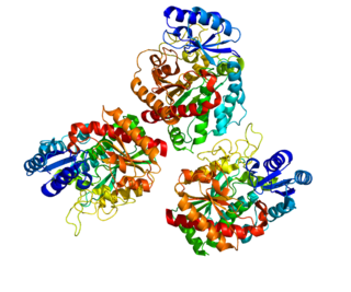 <span class="mw-page-title-main">Carboxypeptidase B2</span>