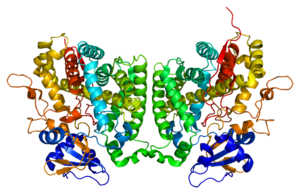 Protein CYP2R1 PDB 2ojd.png