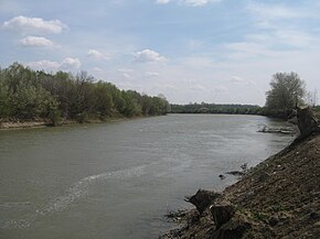 Drânceni yakınlarında Prut Nehri.