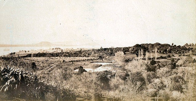 View across Pukekawa to the Waitematā Harbour, Auckland in the 1860s.