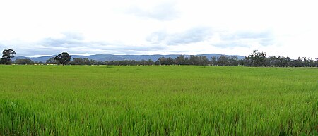 Pyrenees ranges Victoria.JPG