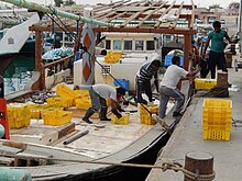 Scene in the harbour of Al Khor. Fisheries is a minor sector in Qatar, and production is almost exclusively for domestic consumption. Qatar, Al Khor (10), harbour, offloading fish.JPG