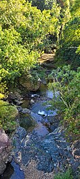 Quebrada Riachuelo, Corozal, Puerto Rico.jpg