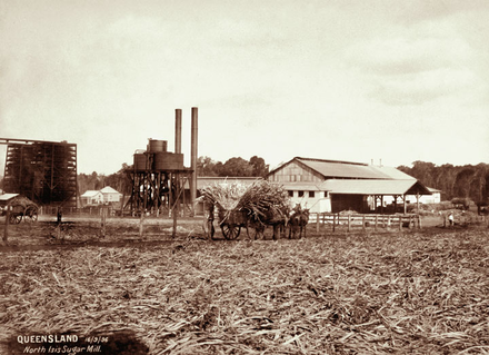 Queensland State Archives 2300 North Isis Sugar Mill with cart load of cane in foreground 16 September 1896.png