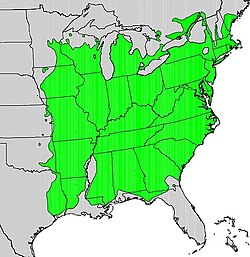 Quercus alba range map.jpg