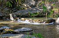 * Nomination Río Lanjarón river in Lanjarón, Spain --Trougnouf 09:35, 19 July 2020 (UTC) * Promotion  Support Good quality. --Basile Morin 15:35, 19 July 2020 (UTC)