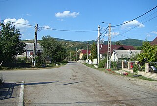 Satul Dumbrăveni
