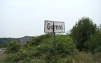 Gureni