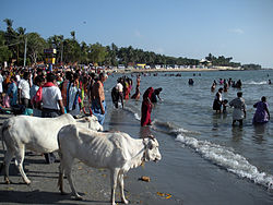 Op het strand bij Rameswaram