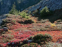 Rampart Ridge