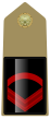 IT-Army-OR4a.svg