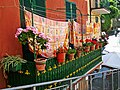 Terrace with flowers-terrazza con fiori