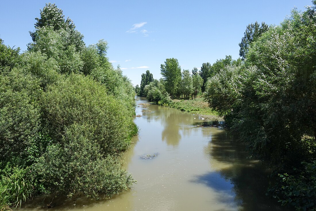 სურამულა