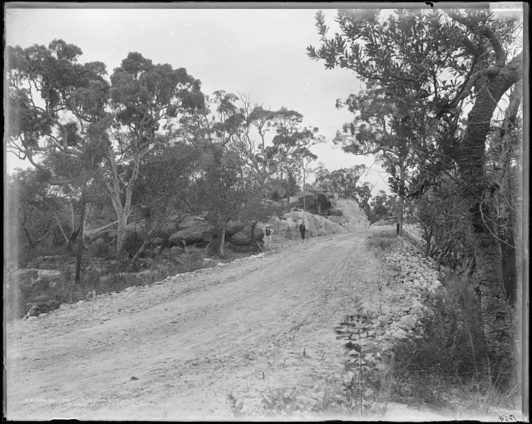 File:Road cutting down Bobbin Hill, descent 135 feet, Kuring-gai Chase National Park (20287671404).jpg