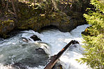 Thumbnail for Course of the Rogue River (Oregon)