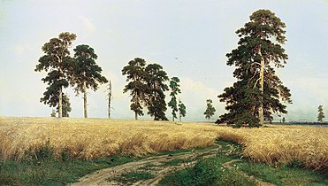 Rye Fields by Ivan Shiskin (1878)