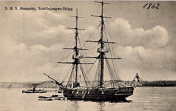 SMS Musquito.jpg