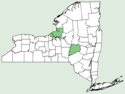 Salvia officinalis NY-dist-map.png