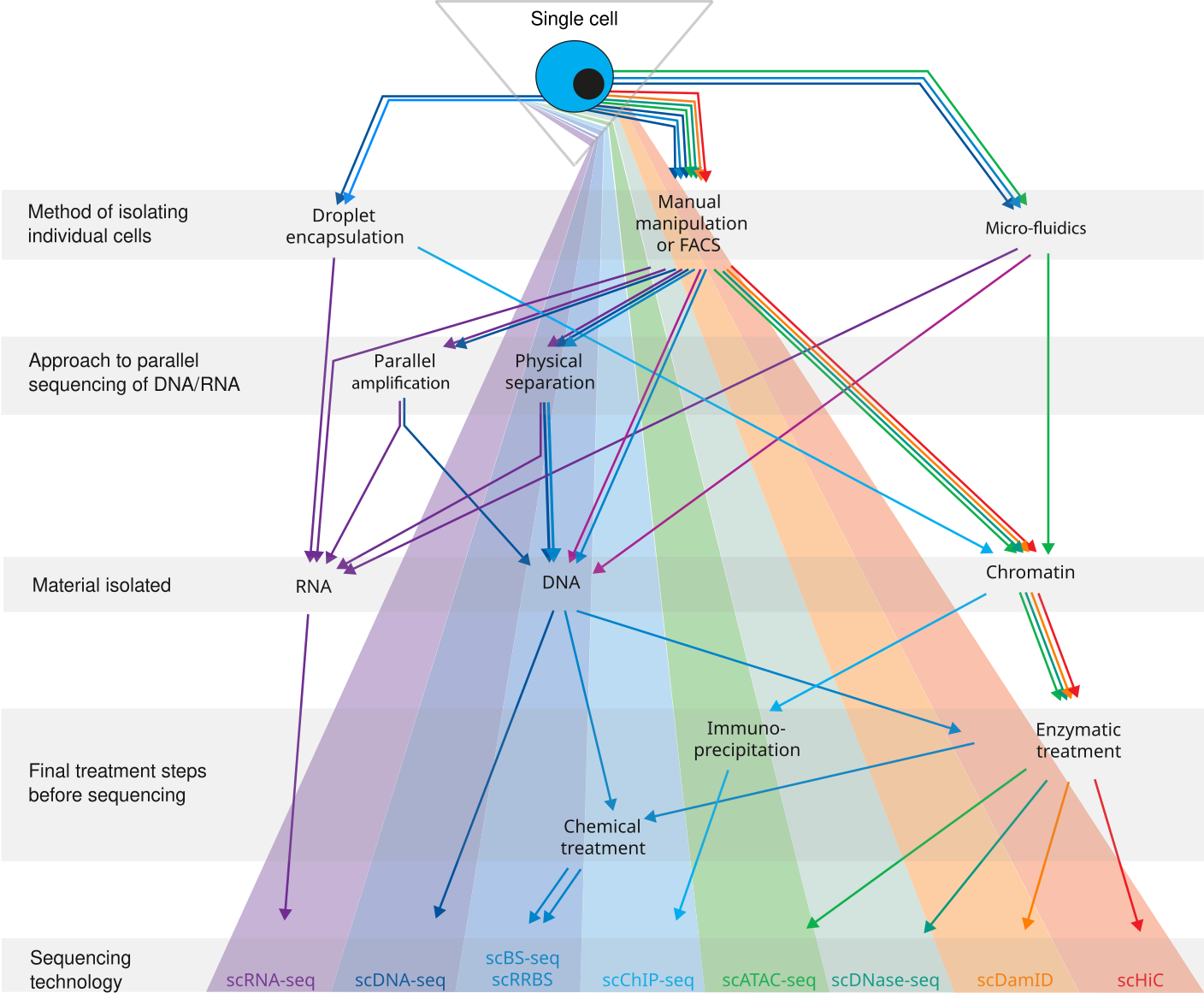 Method cell. Single Cell секвенирование.