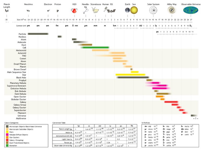 Belt Sizes for Men & Women: Charts, Sizing Guide, Conversion