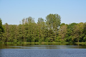 Schleswig-Holstein, Nordhastedt, Landschaftsschutzgebiet Mühlenteich NIK 2449.jpg