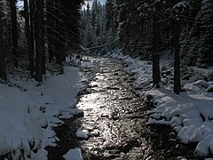 Schwarzwassertal