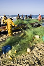 Fishermen in Senegal SenegalFishing2.jpg