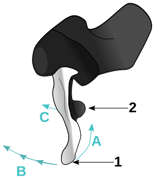 <span class="mw-page-title-main">Shimano Total Integration</span> Gearshift system designed by Shimano for racing bicycles