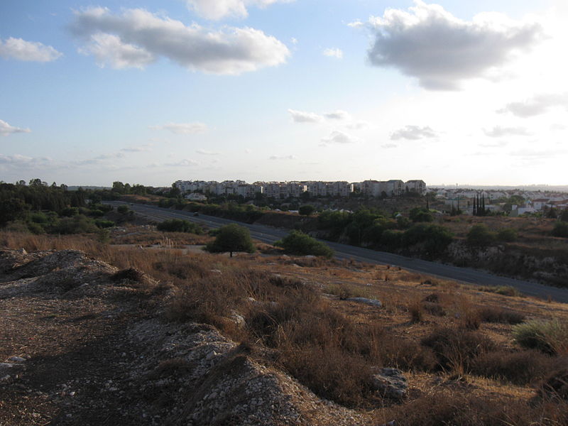 File:Shoham9006.jpg